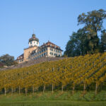 Bild zum Shop von Wein Berneck