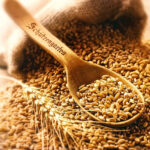 Bild zum Shop von Schützengarten